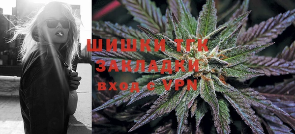 гидропоника Алзамай