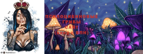 гидропоника Алзамай