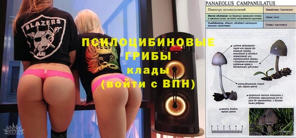 гидропоника Алзамай