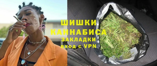 гидропоника Алзамай