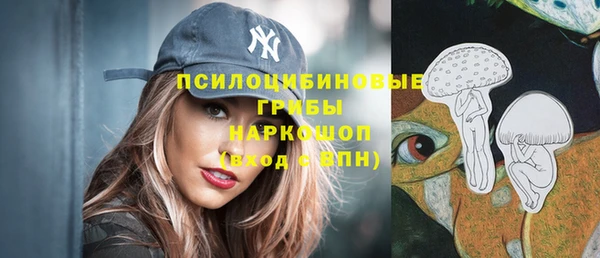 Альфа ПВП Алексин