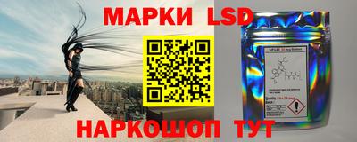 тгк Кингисепп