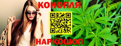 тгк Кингисепп