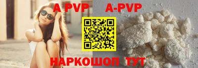 тгк Кингисепп