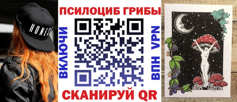 hydra ссылки  Кострома  Галлюциногенные грибы Psilocybine cubensis  где найти наркотики 