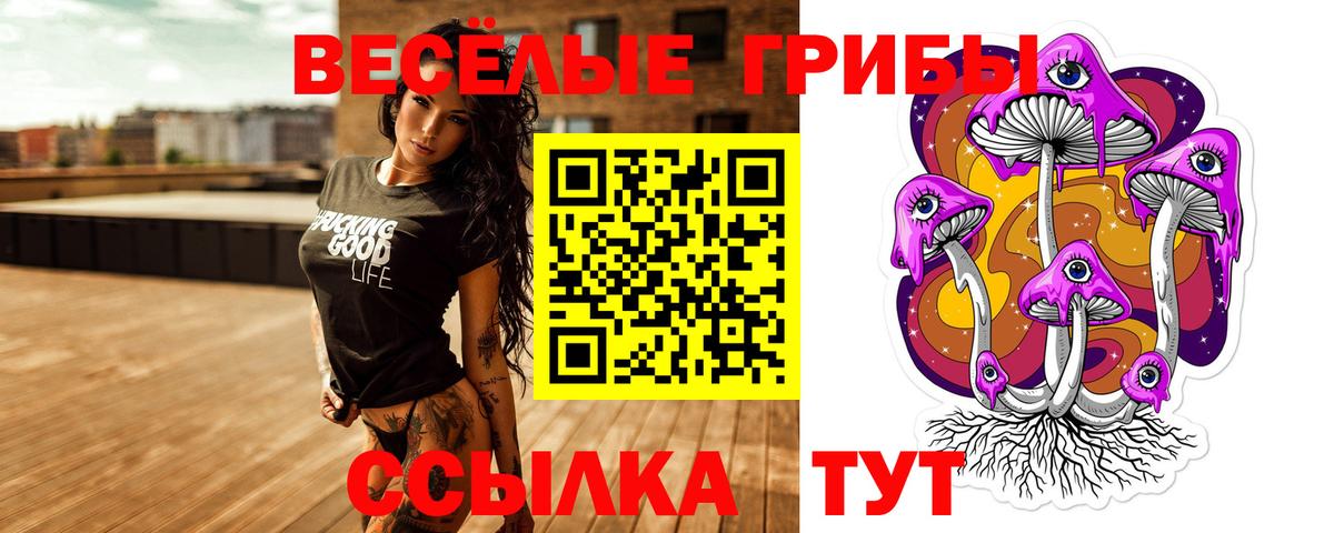 Галлюциногенные грибы Psilocybe Кострома
