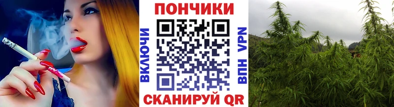 Каннабис ГИДРОПОН  Кострома 